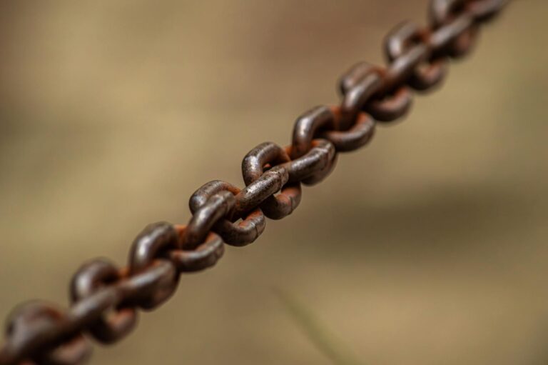 Why We Don’t Build Links Before Month 3