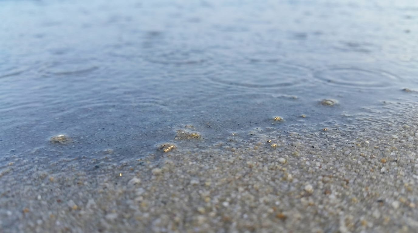 section-1-the-flood-recedes
